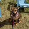 samantha.robichaud - @samantha.robichau88 - TikTok