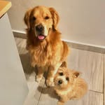 SAM & ROBIN - @s.a.m.r.o.b.i.n - Instagram