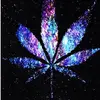 Sam Rocha - @sam.rocha34 - TikTok