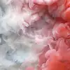 Samrock 🐝 - @www.tictokrockyahoo.com6 - TikTok