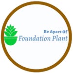 Sam Rollason - @foundation_plant - Instagram