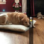 Spamaccount 🤪 - @samantha.rollison - Instagram