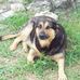 Sam Romine - Facebook
