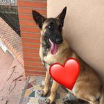 Samuel - @samronaldo_18 - Instagram