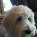 Sam Rondinelli - Facebook