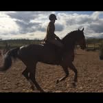 Samuel Roney - @samm196 - Instagram