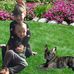 Sam Root - Facebook