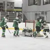 .samantha - @sam.root - TikTok