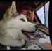 Sam Rosen - Facebook