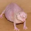 Sam Rosen - @samrosen04 - TikTok