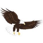 Sam Rosen Elementary - @samrosenfwisd - Instagram