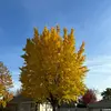 sam - @samrosen.exe - TikTok