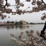 Sam Rotenberg - @rotenbergsam - Instagram
