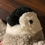 Samuel Rotenberg Petersen - @samuel320027 - Instagram
