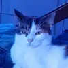 samrouse373 - @samrouse373 - TikTok