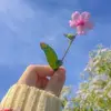 __samroush__ - @samroush_.008 - TikTok