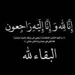 @samroushasamrousha - Instagram