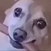 user7856782690854 - @samuel_routt - TikTok