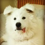 Sam Rowan - @rowans - Instagram