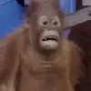 samrowell5 - @samrowell5 - TikTok