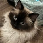 Sam Rowley - @samrowley196650 - Instagram