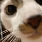 Sam Rubin - Facebook