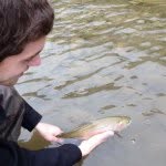 @sam.rubino - Instagram