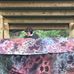 Sam Rubinstein - Facebook