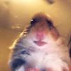 ♡~Sam_Rubio~♡ - @sam_rubio - TikTok