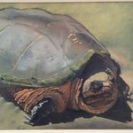 Sam Rulli - @instinct_painting - Instagram