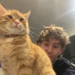 Sam Kingsbury - @sam.rumpus - Instagram