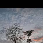 Samuel Runge - Facebook