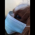 SamRuppeBackUp - @samruppe.pt2 - Instagram