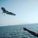 samruta Jadhav - @samrutajadhav - Instagram