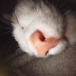 Sambor Sadowski - @samborsadowski - Instagram