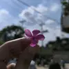 Safa Sam Samira - @safasamsamira - TikTok