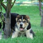 Нурик - @samsagalaxy59 - Instagram