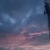 samsagansy - @samsagansy - TikTok