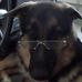Sam Saghafi - Facebook