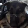 samsaghafi980 - @samsaghafi980 - TikTok