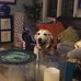 Sam Sailors - Facebook