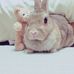 Sam Saito - Facebook