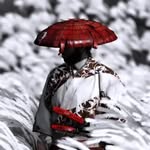 Samid Ahmad - @samsakai4719 - Instagram