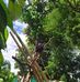 Sam Saladino - Facebook