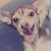 Sam Salami - Facebook