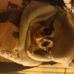 Sam Salami - Facebook