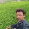 sallamsam - @sallamsam - TikTok