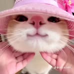 Sam Salim - Facebook