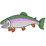 Sam Temple - @sam_salmondancer_temple - Instagram