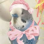 Sam Saman - Facebook